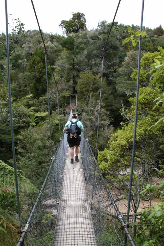 Nieuw-Zeeland 2011 - 1018